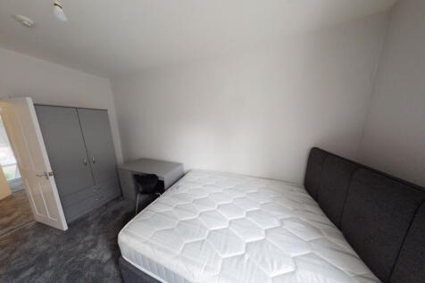 76-Colts-on-Street-0