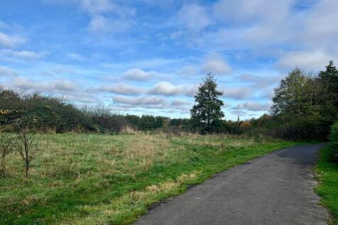 Pathway To Nature Tr
