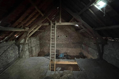 Image 15