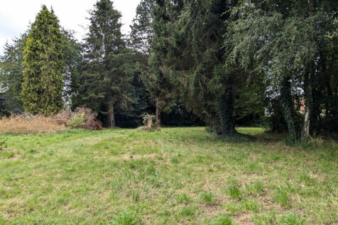 Image 14