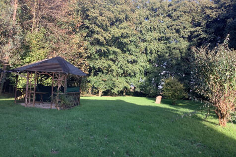 Image 15
