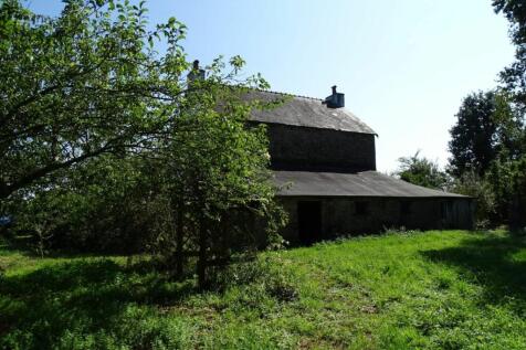 Image 15