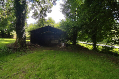 Image 15