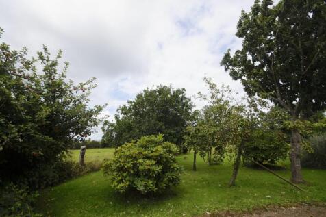 Image 17