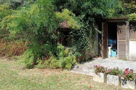 Image 11