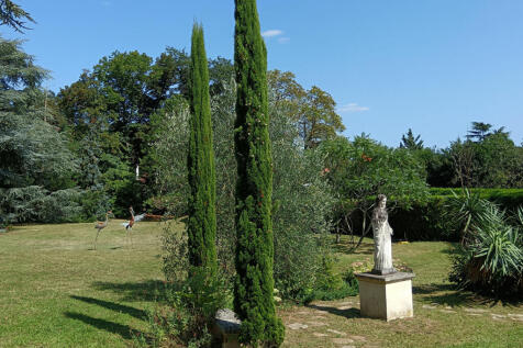 Image 15