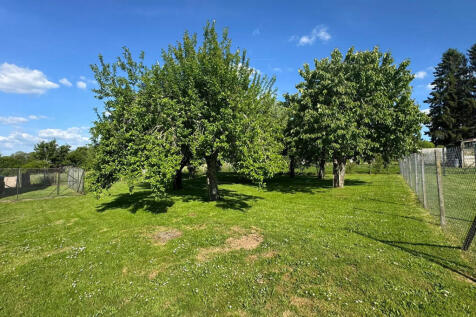 Image 15