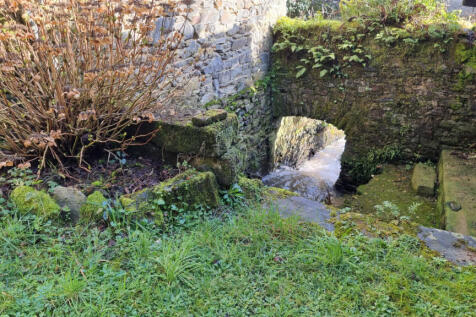 Image 16