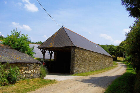 Image 12