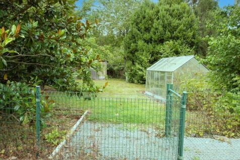 Image 16
