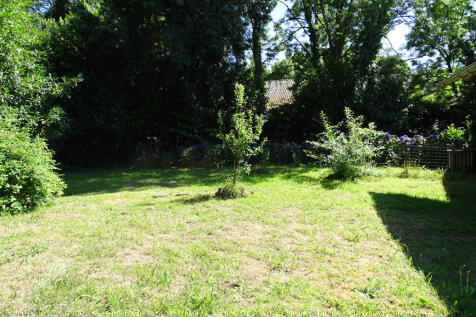 Image 13