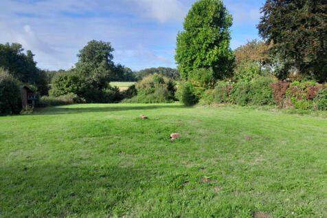 Image 17