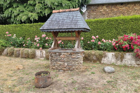 Image 15