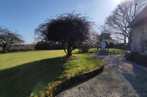 Image 16