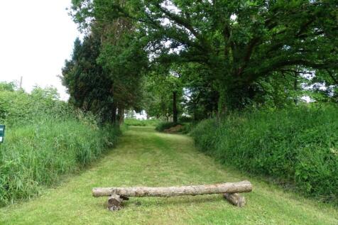 Image 17