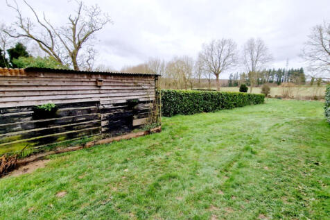 Image 15