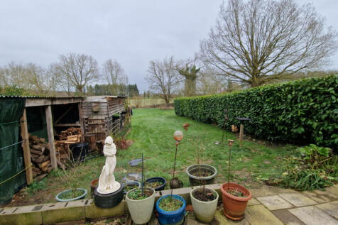 Image 16