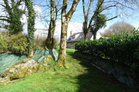 Image 15