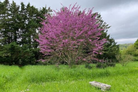 Image 13