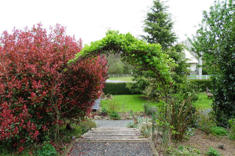Image 18