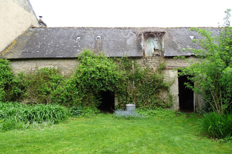 Image 13