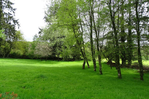 Image 16