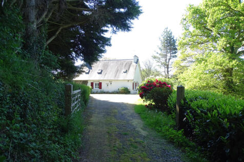 Image 16