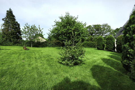 Image 14