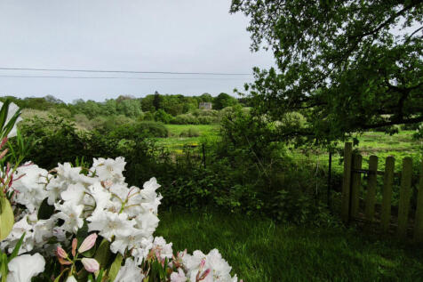 Image 16