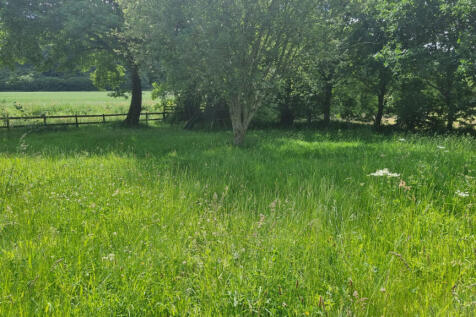 Image 14