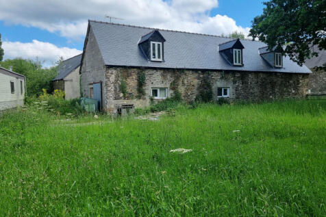 Image 16