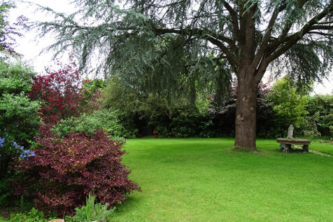 Image 17