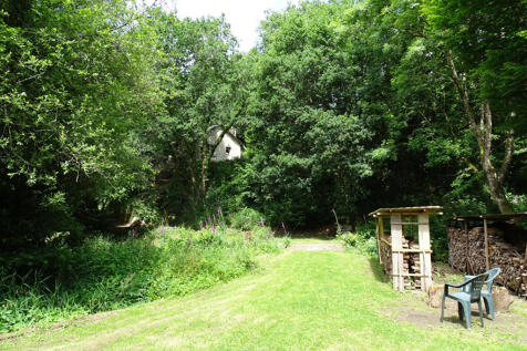 Image 15