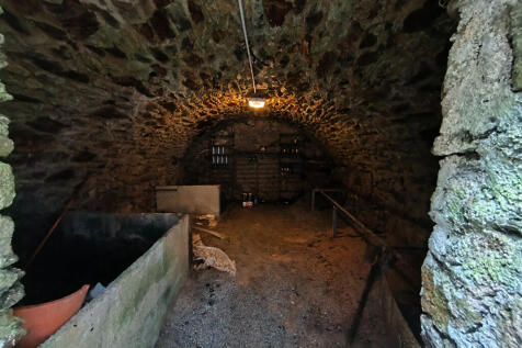 Image 14