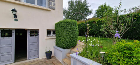 Image 13
