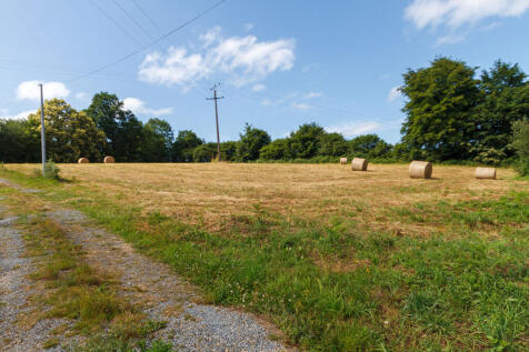 Image 17