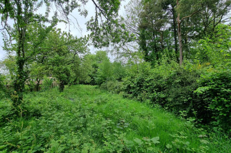 Image 17