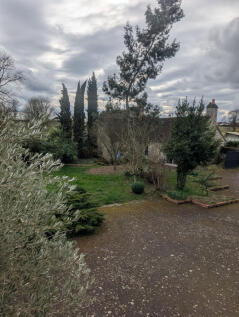 Image 15