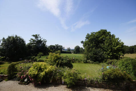 Image 15