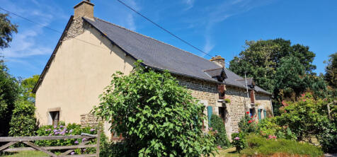 Image 15