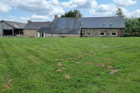 Image 15