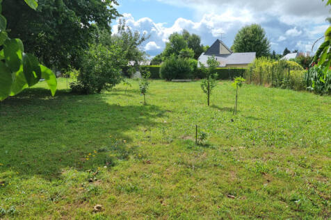 Image 14