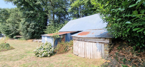 Image 14
