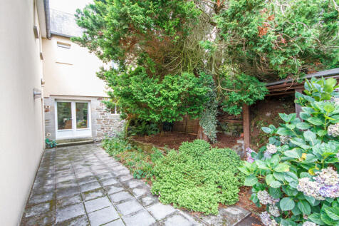 Image 15