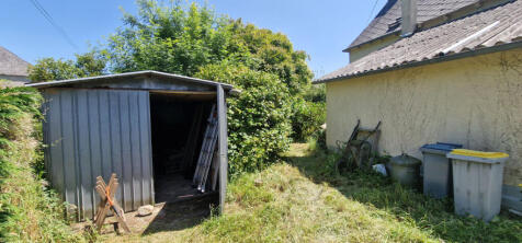 Image 12