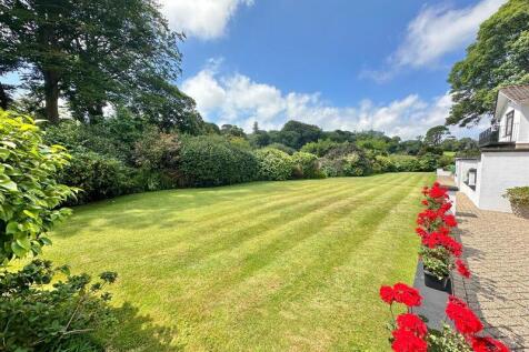 Landscaped established garden