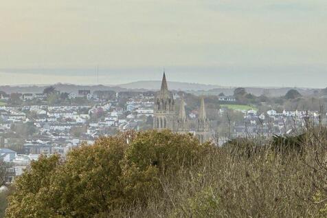 Cathedral View