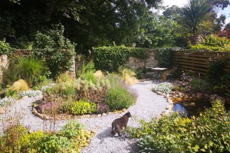 Garden In Summer