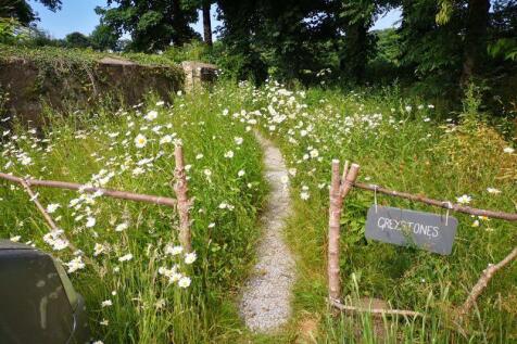Wild Flower Garden