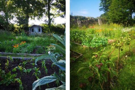 Summer Garden Fruit And Veg